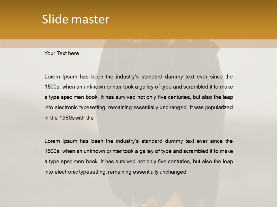 Eagle Freedom Wildlife PowerPoint Template