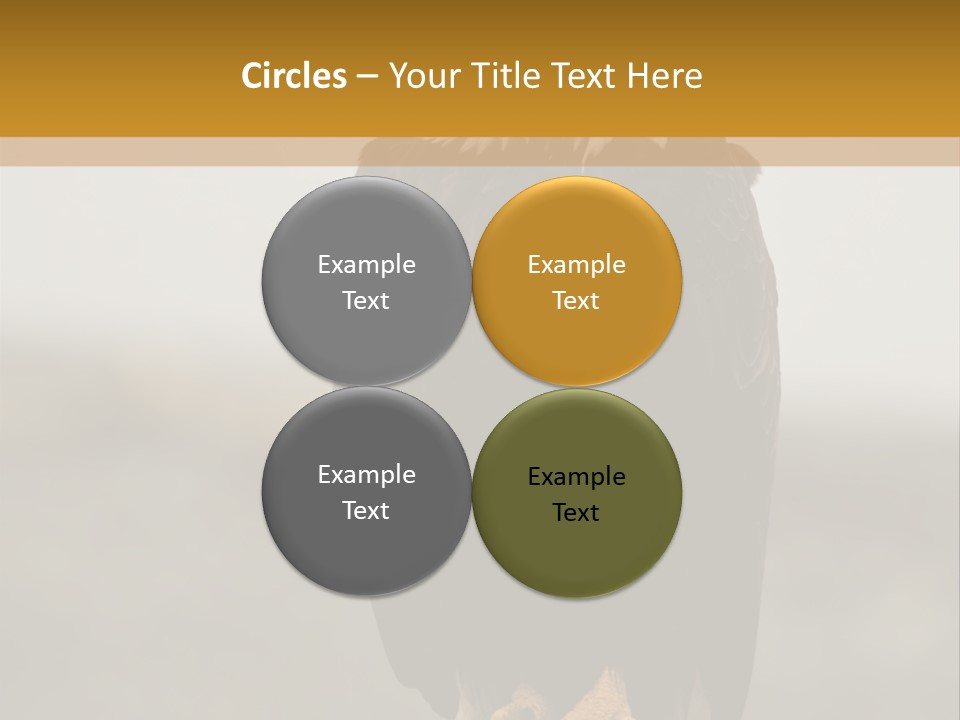 Eagle Freedom Wildlife PowerPoint Template