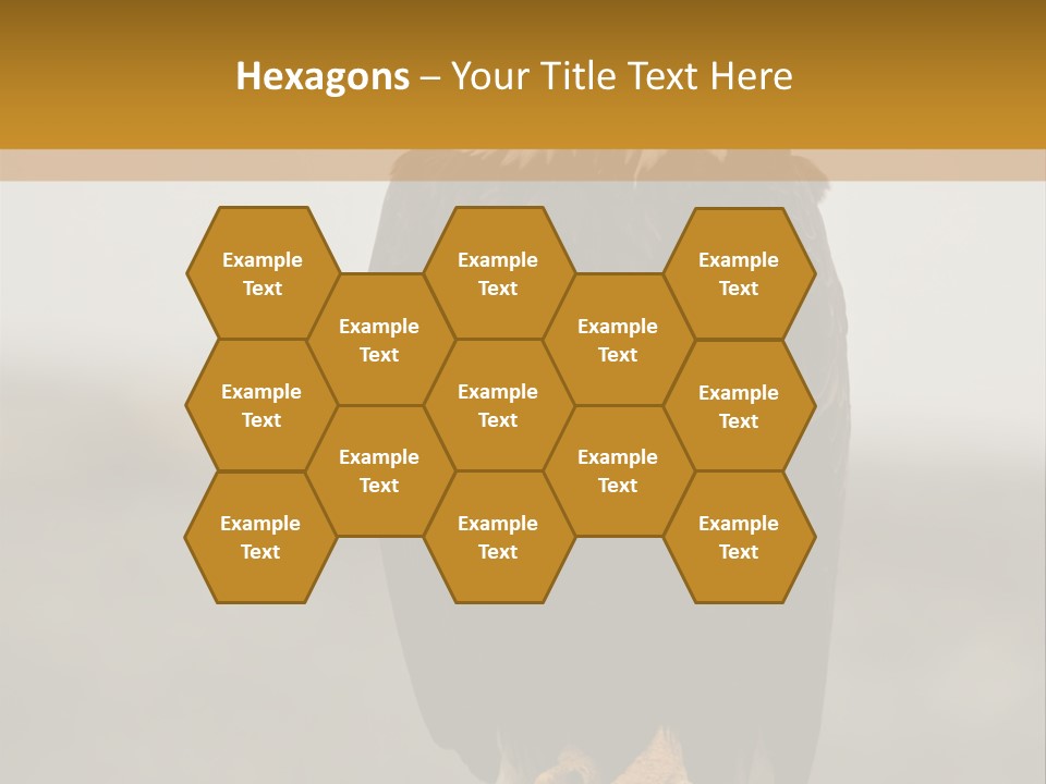 Eagle Freedom Wildlife PowerPoint Template