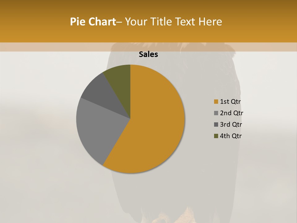 Eagle Freedom Wildlife PowerPoint Template