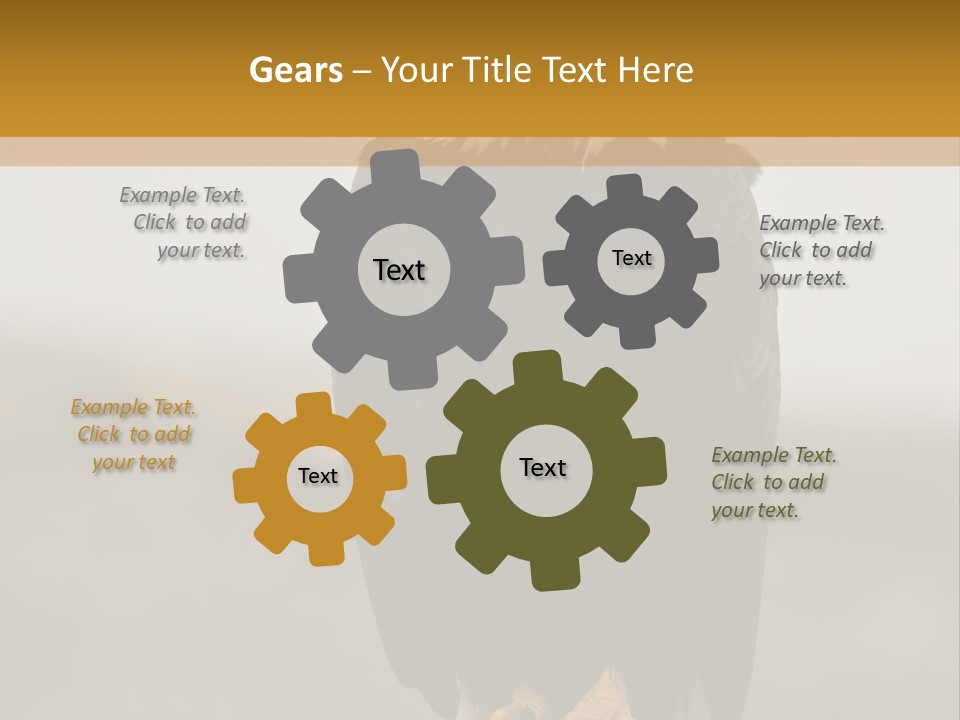 Eagle Freedom Wildlife PowerPoint Template