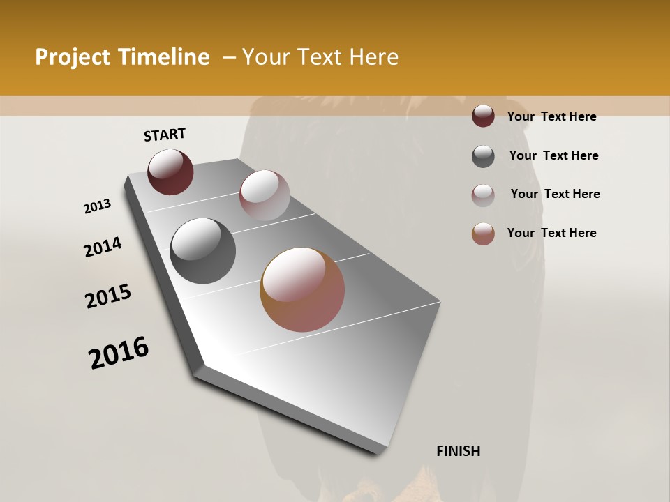Eagle Freedom Wildlife PowerPoint Template