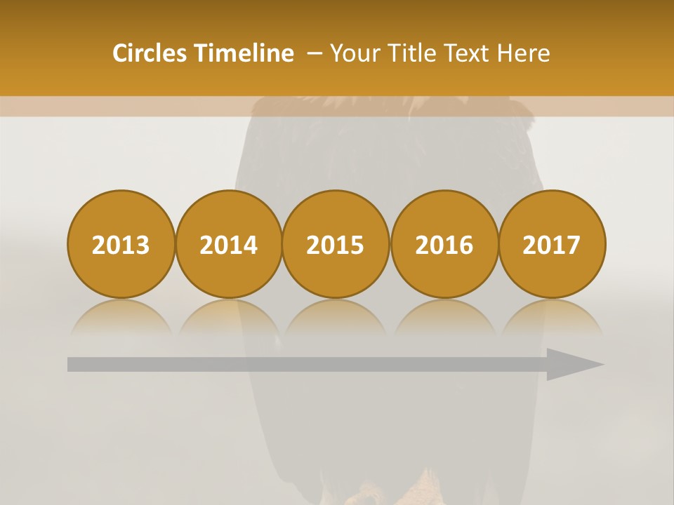 Eagle Freedom Wildlife PowerPoint Template