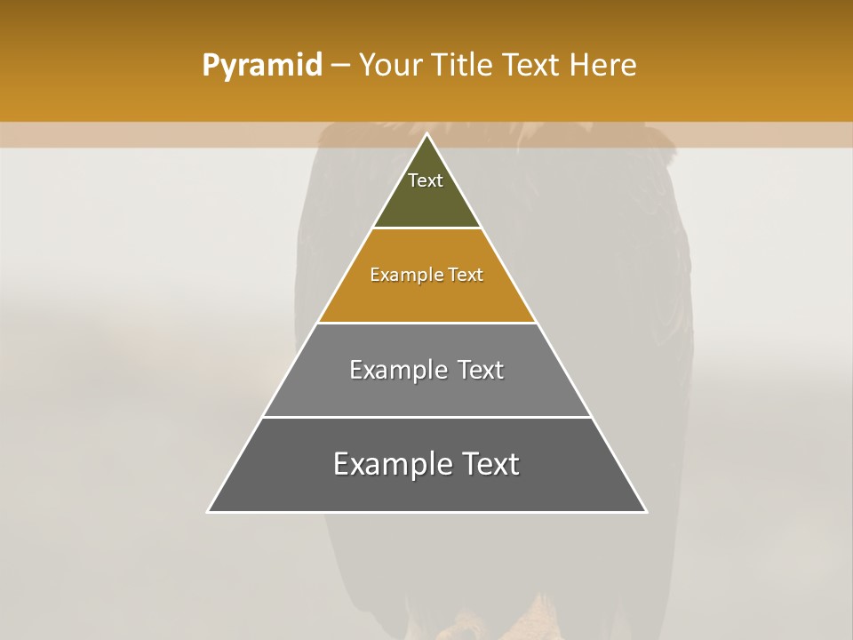 Eagle Freedom Wildlife PowerPoint Template