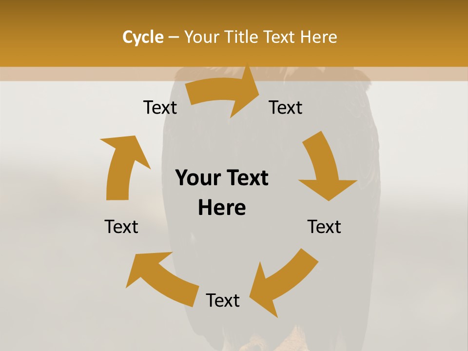 Eagle Freedom Wildlife PowerPoint Template