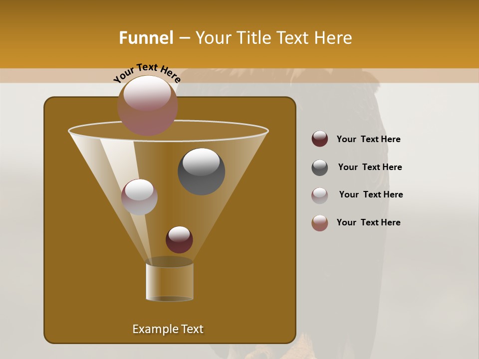 Eagle Freedom Wildlife PowerPoint Template