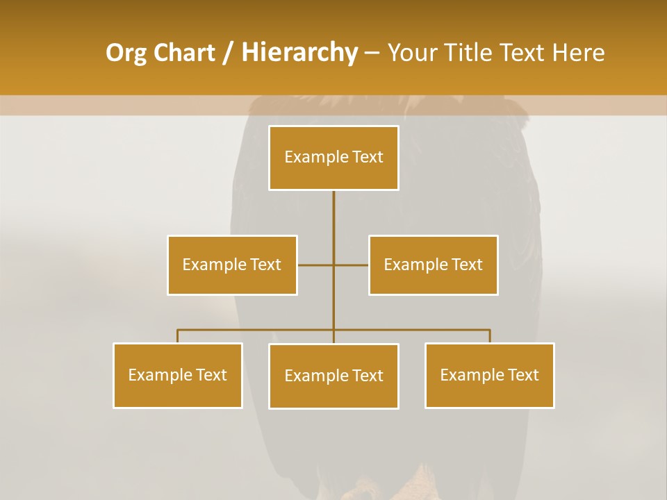 Eagle Freedom Wildlife PowerPoint Template