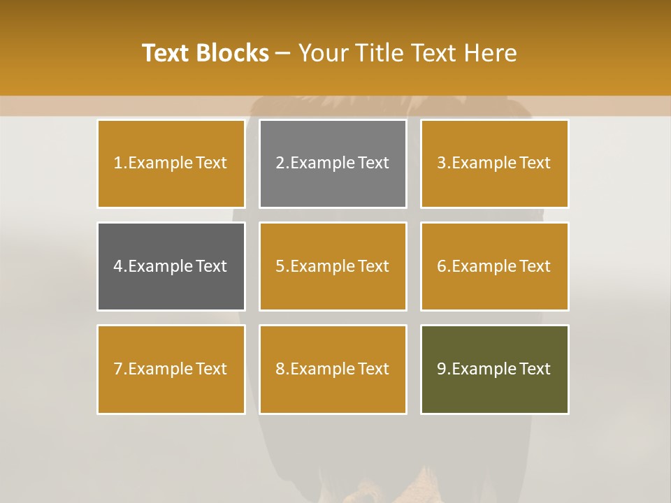 Eagle Freedom Wildlife PowerPoint Template