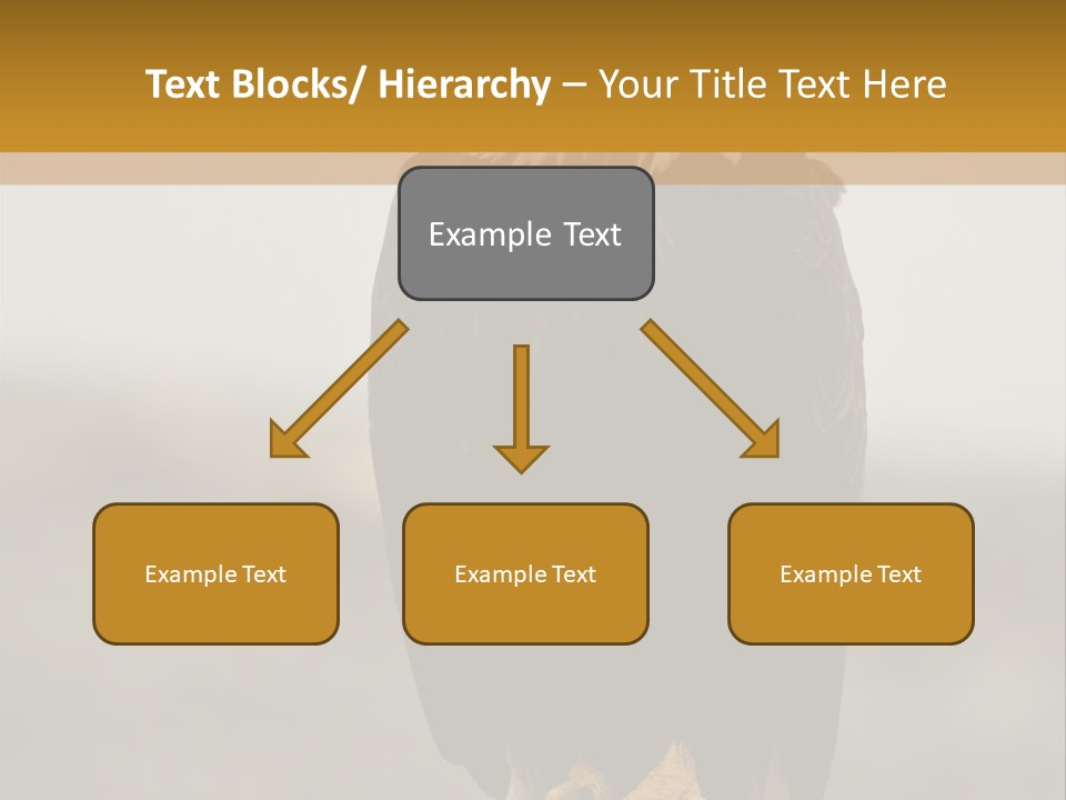 Eagle Freedom Wildlife PowerPoint Template