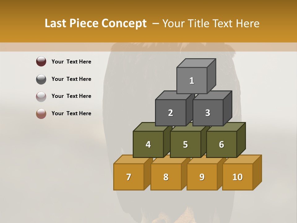 Eagle Freedom Wildlife PowerPoint Template