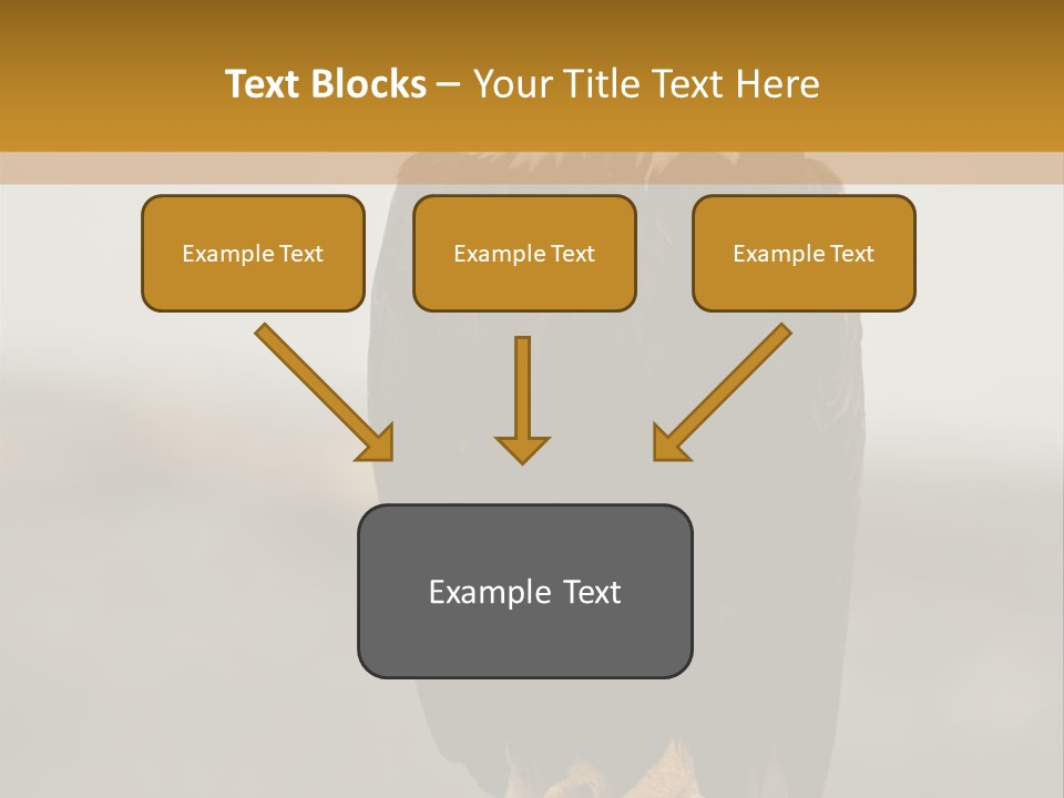 Eagle Freedom Wildlife PowerPoint Template