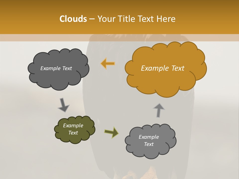 Eagle Freedom Wildlife PowerPoint Template