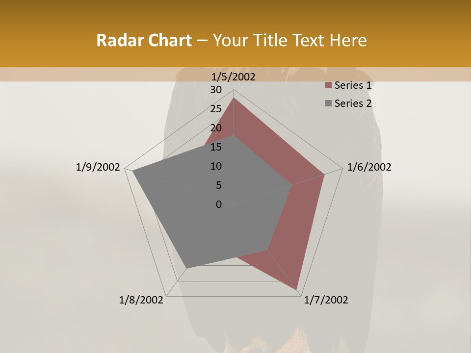 Eagle Freedom Wildlife PowerPoint Template