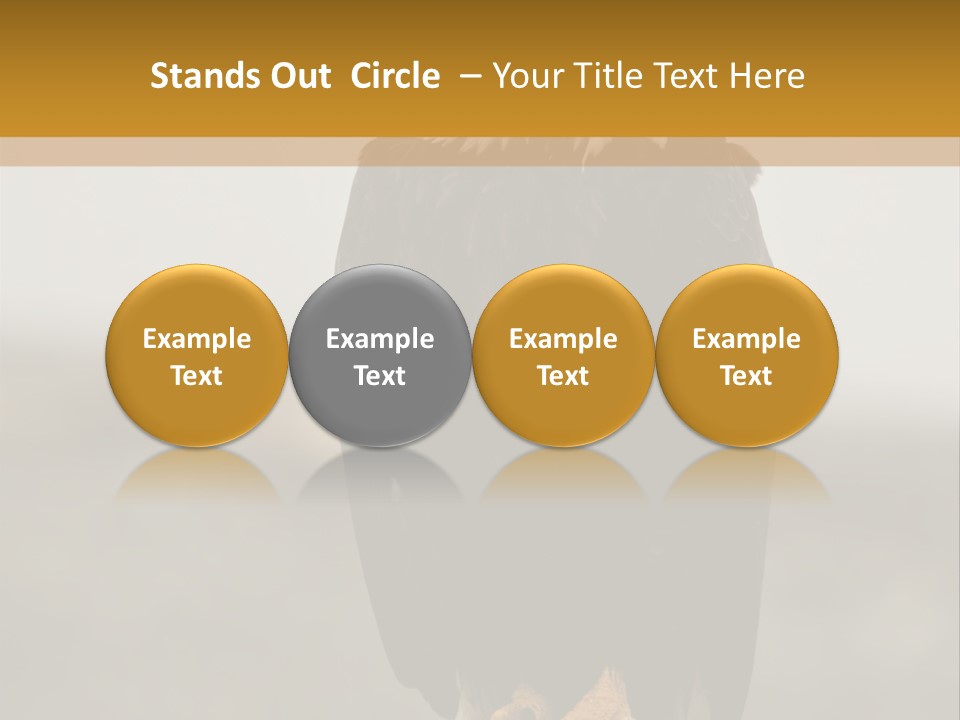 Eagle Freedom Wildlife PowerPoint Template