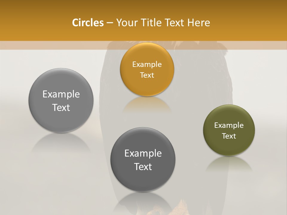 Eagle Freedom Wildlife PowerPoint Template