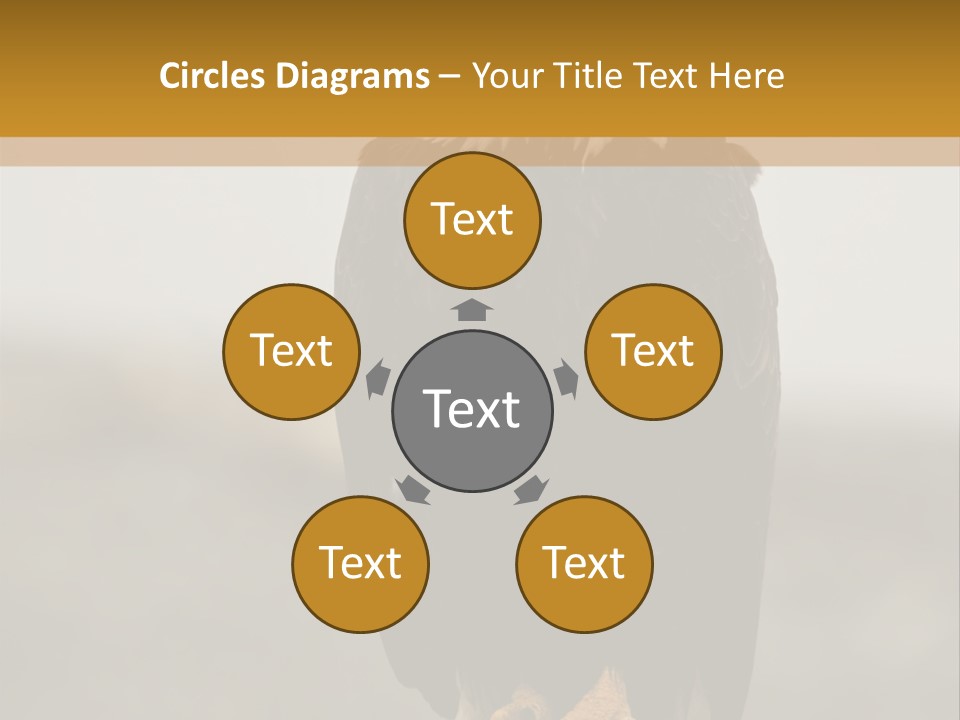 Eagle Freedom Wildlife PowerPoint Template