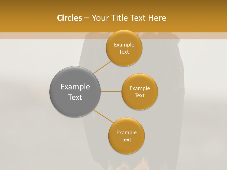Eagle Freedom Wildlife PowerPoint Template