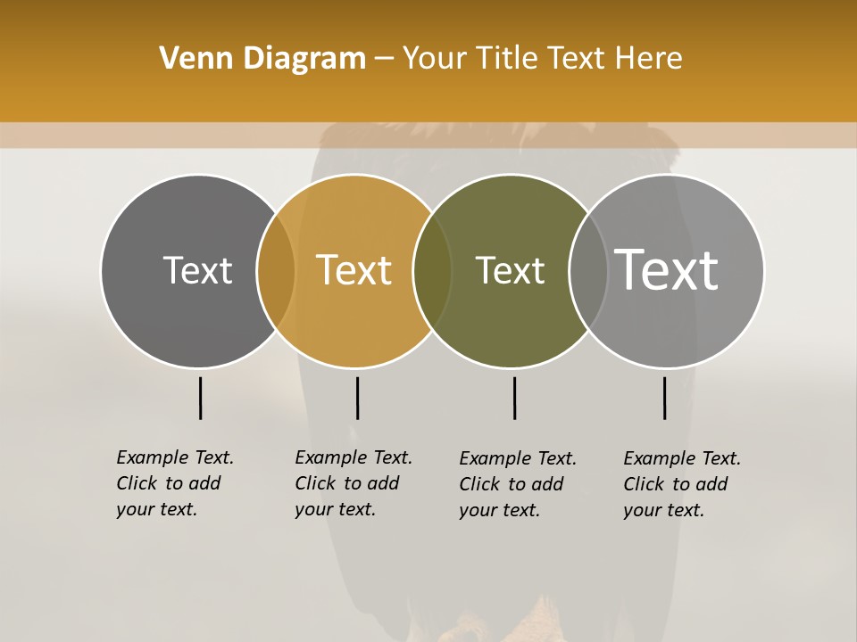 Eagle Freedom Wildlife PowerPoint Template