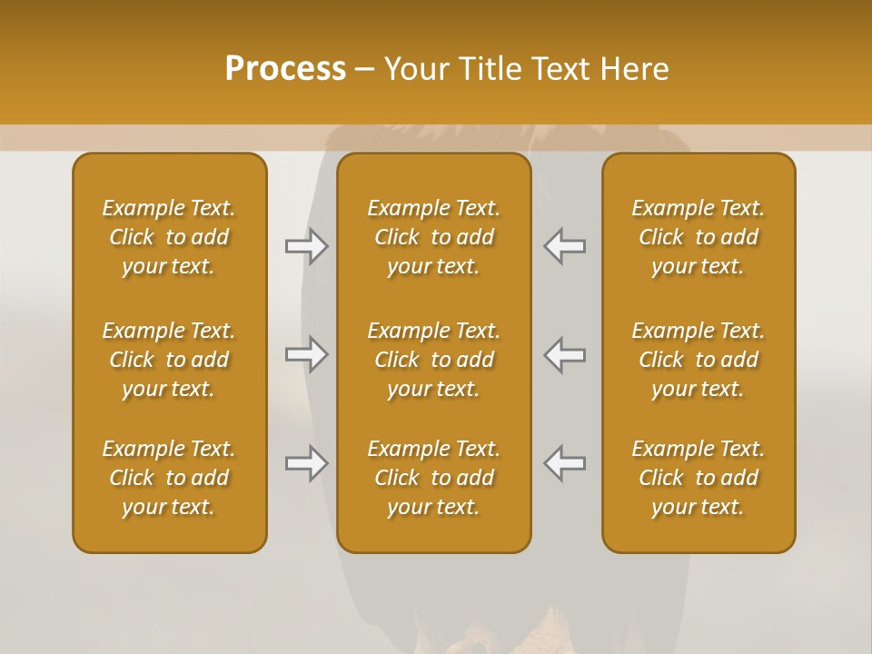 Eagle Freedom Wildlife PowerPoint Template