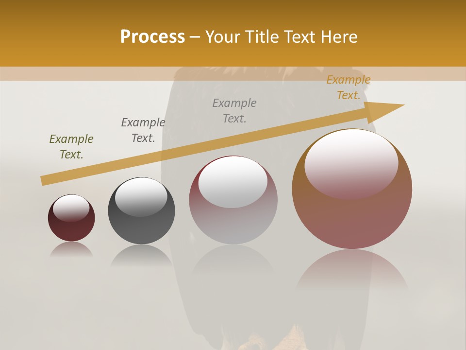 Eagle Freedom Wildlife PowerPoint Template