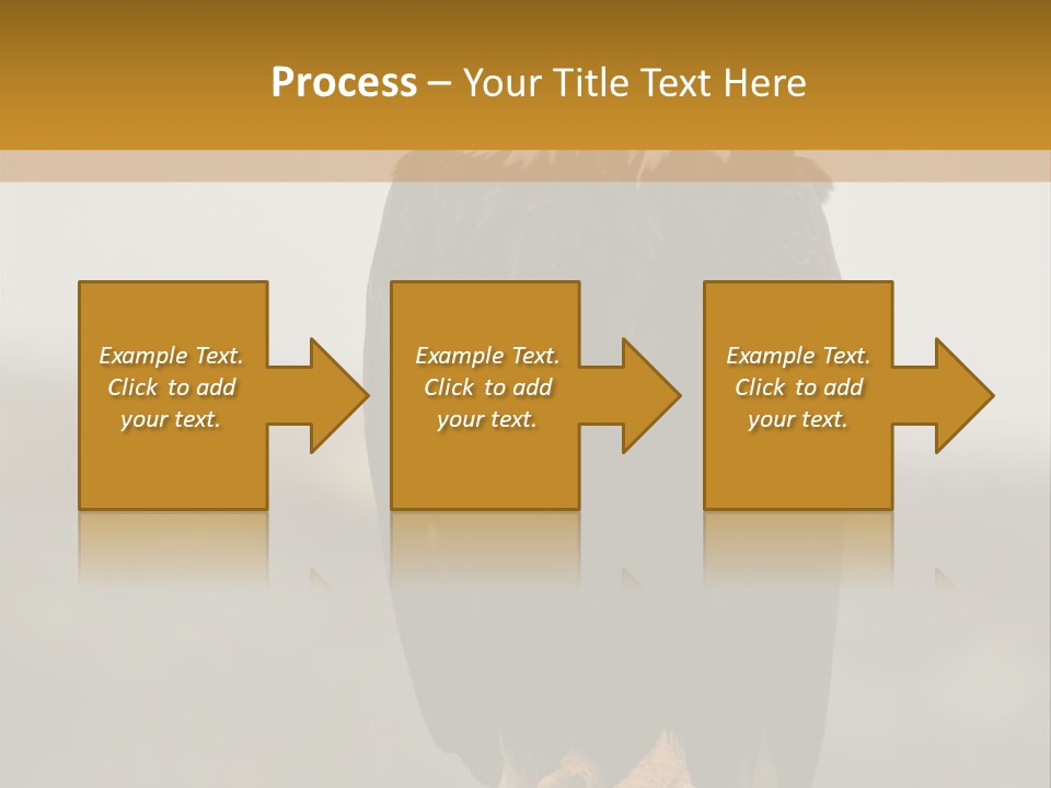 Eagle Freedom Wildlife PowerPoint Template