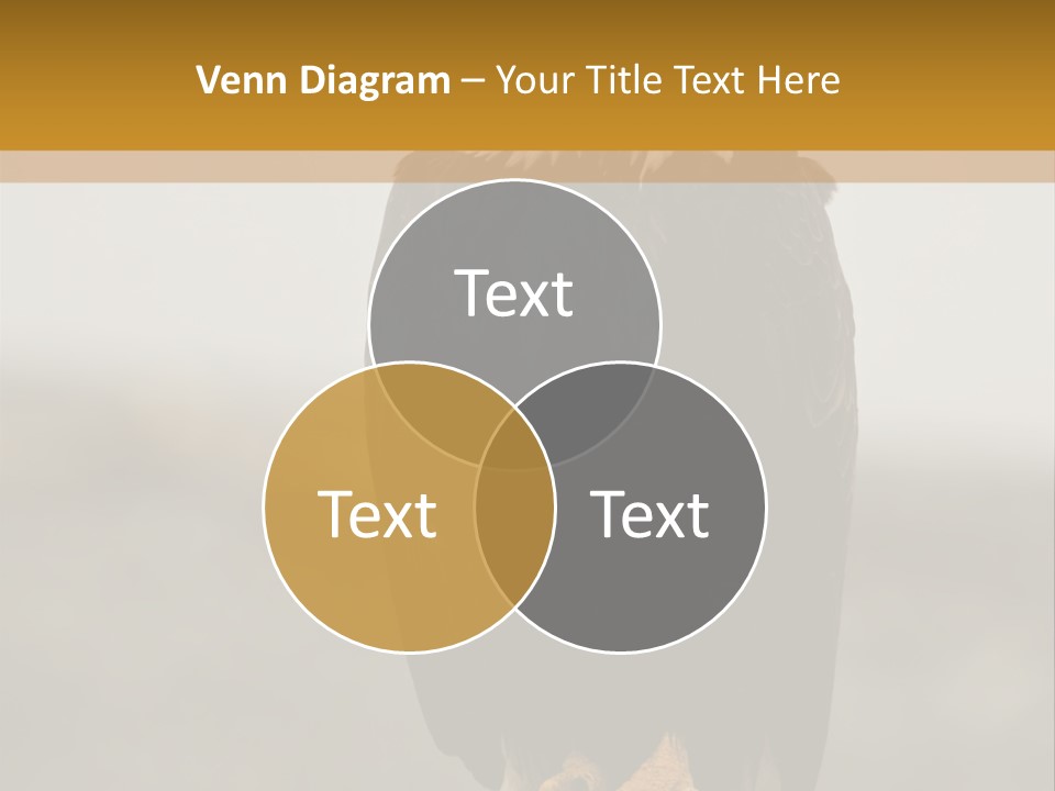 Eagle Freedom Wildlife PowerPoint Template