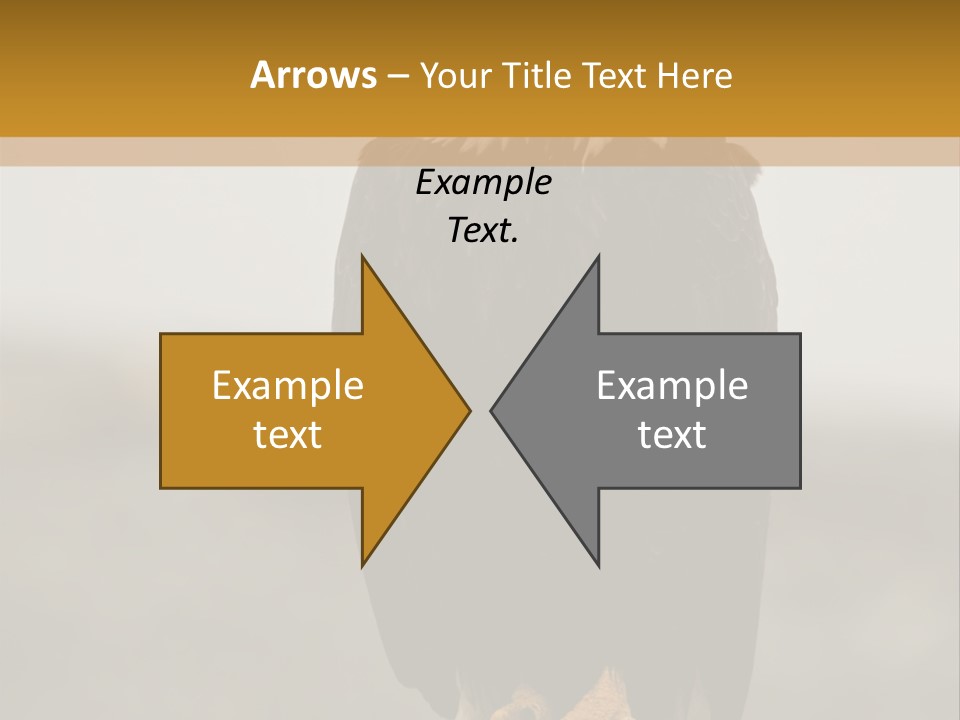 Eagle Freedom Wildlife PowerPoint Template
