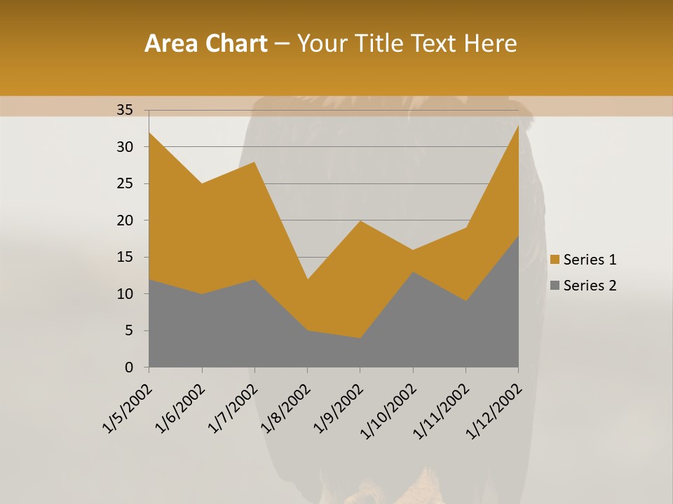 Eagle Freedom Wildlife PowerPoint Template