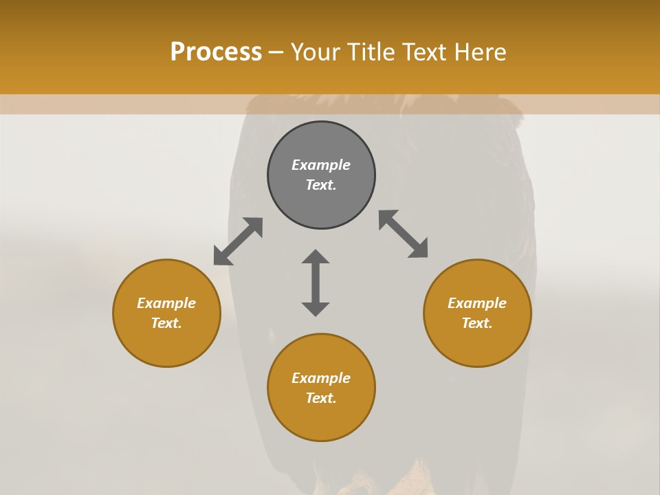 Eagle Freedom Wildlife PowerPoint Template