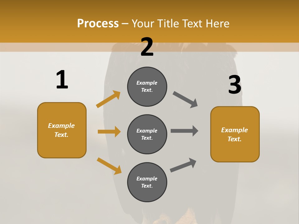 Eagle Freedom Wildlife PowerPoint Template