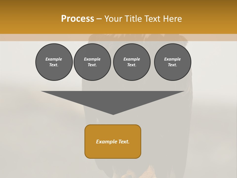 Eagle Freedom Wildlife PowerPoint Template