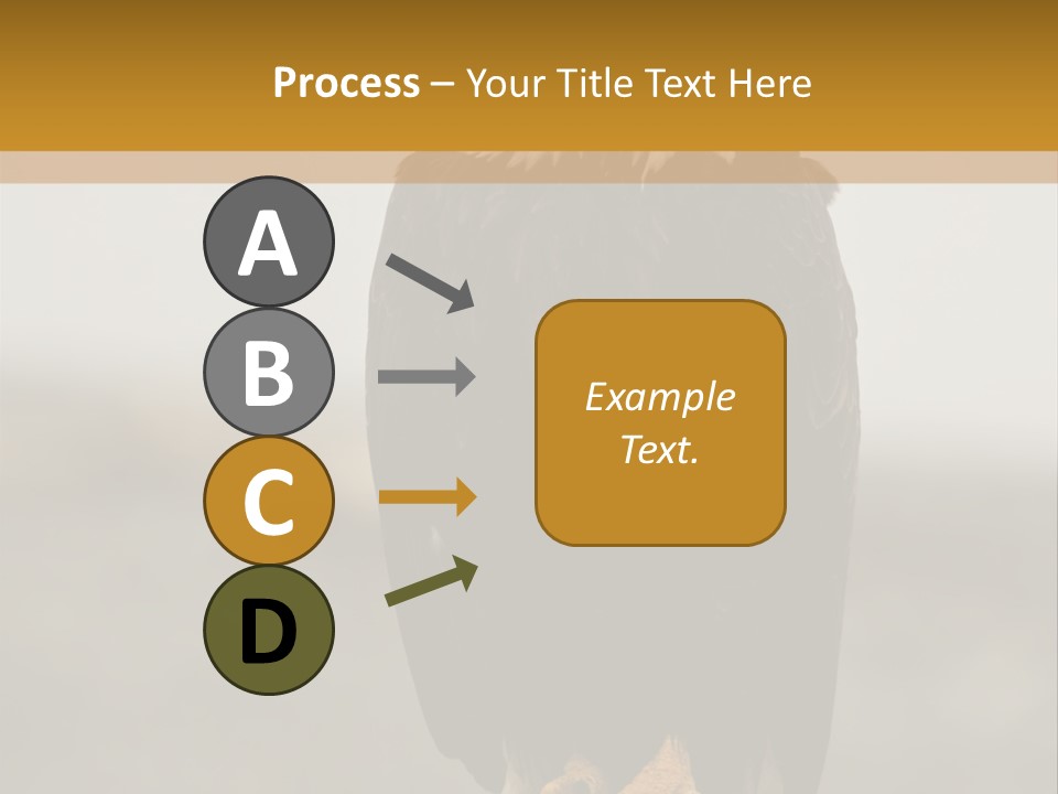 Eagle Freedom Wildlife PowerPoint Template