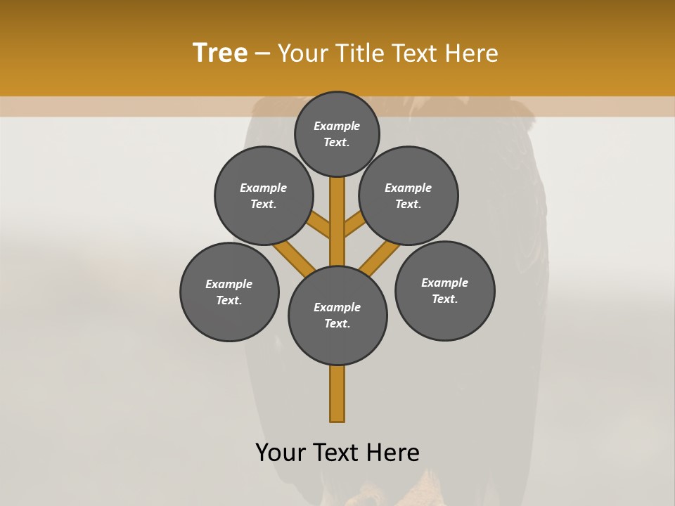 Eagle Freedom Wildlife PowerPoint Template