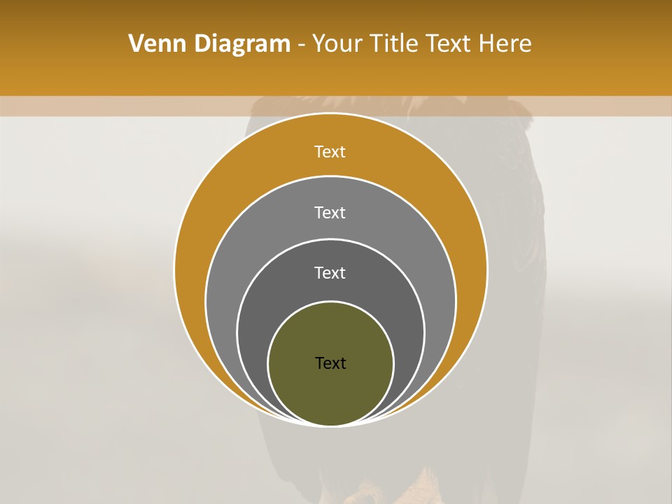 Eagle Freedom Wildlife PowerPoint Template