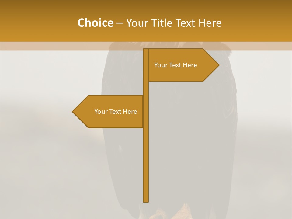 Eagle Freedom Wildlife PowerPoint Template