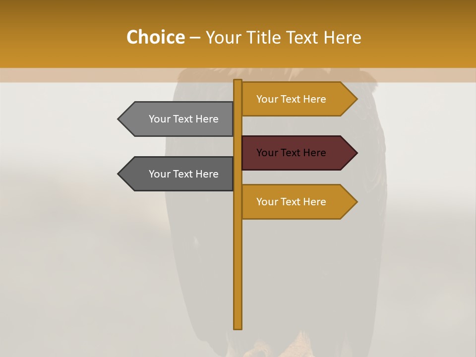 Eagle Freedom Wildlife PowerPoint Template