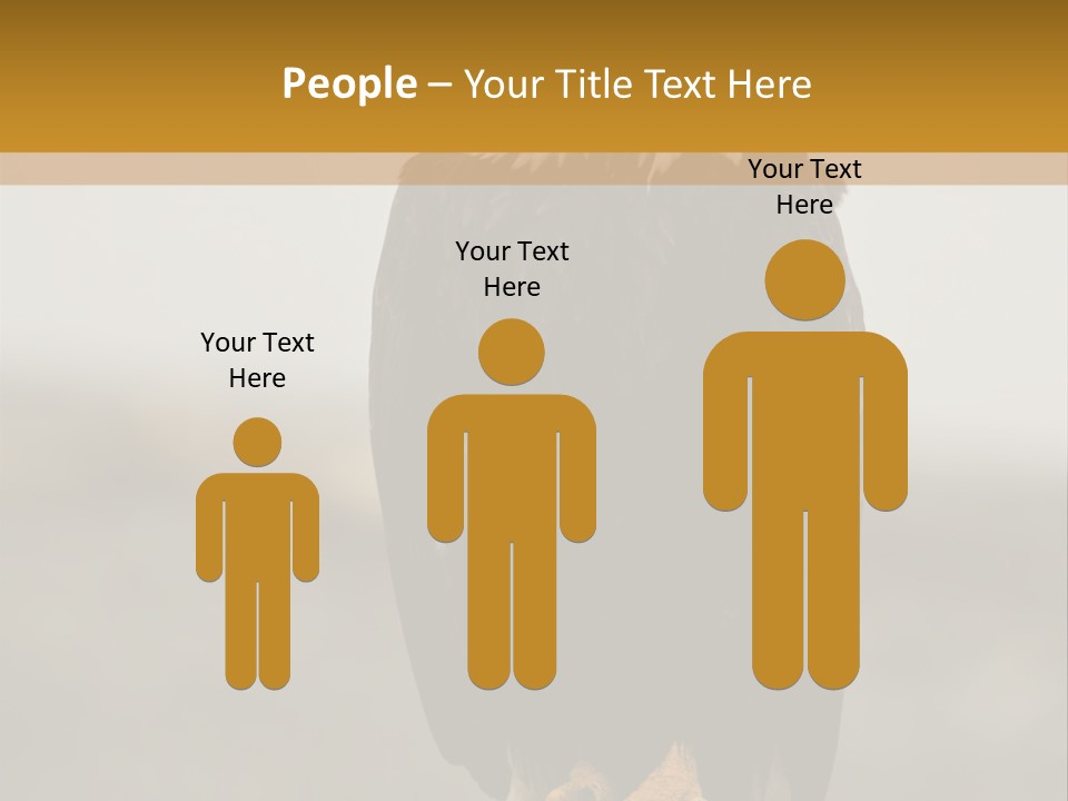 Eagle Freedom Wildlife PowerPoint Template