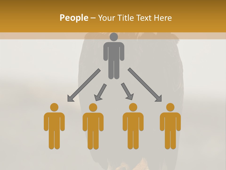 Eagle Freedom Wildlife PowerPoint Template