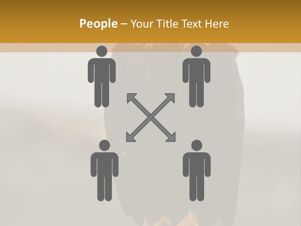 Eagle Freedom Wildlife PowerPoint Template