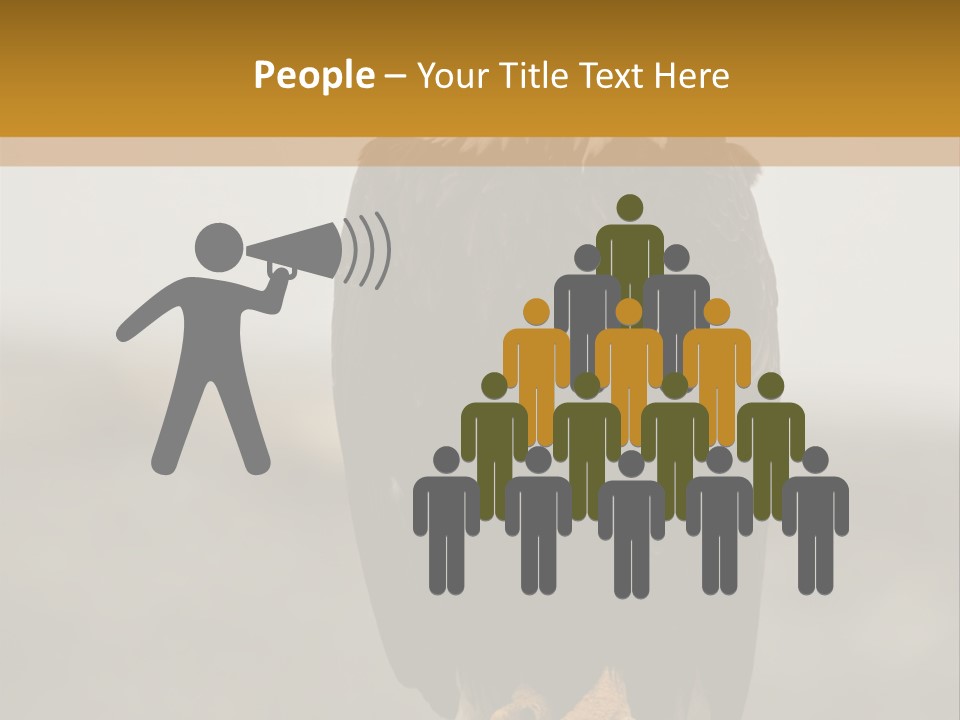 Eagle Freedom Wildlife PowerPoint Template