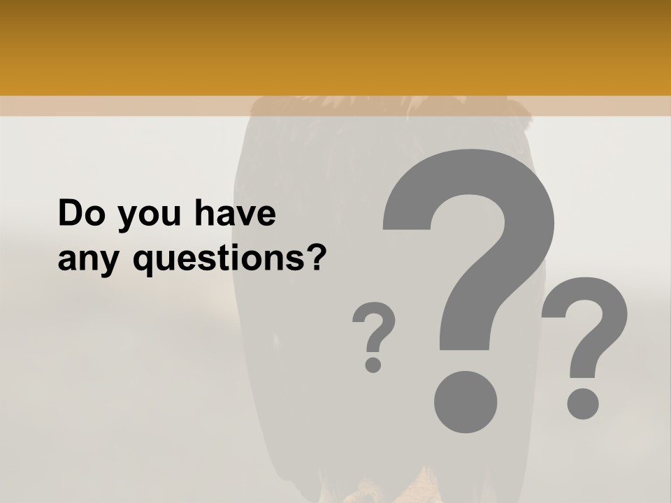 Eagle Freedom Wildlife PowerPoint Template