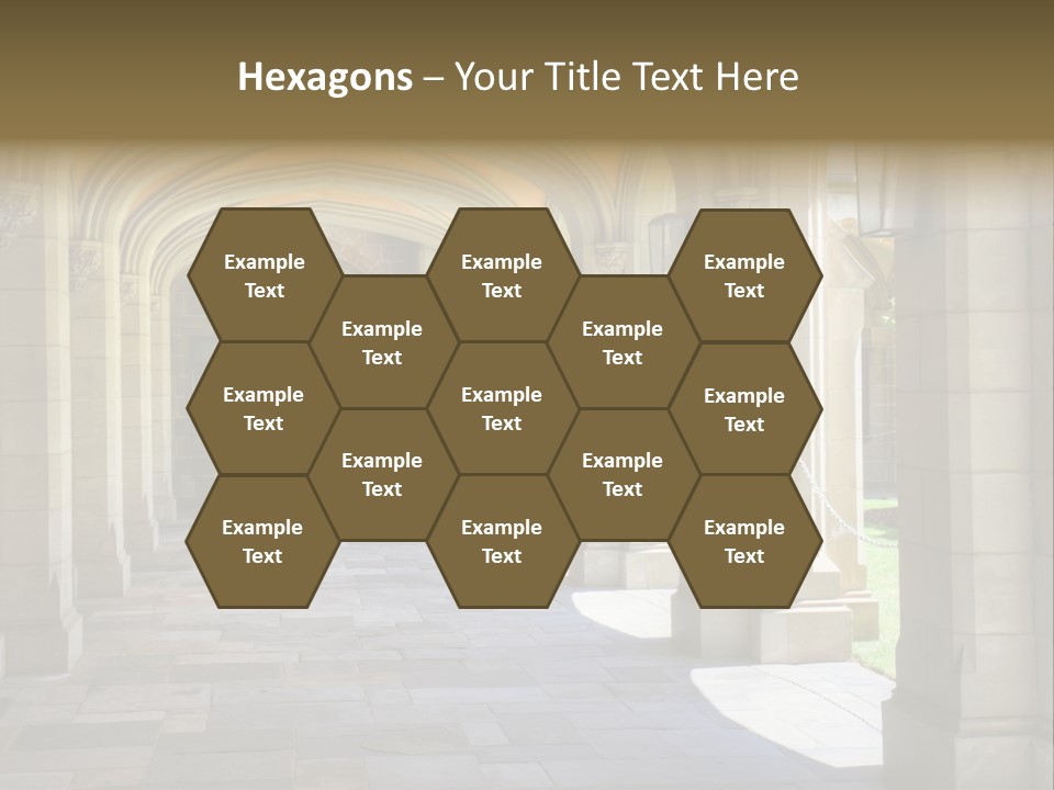 Universits Path Law PowerPoint Template