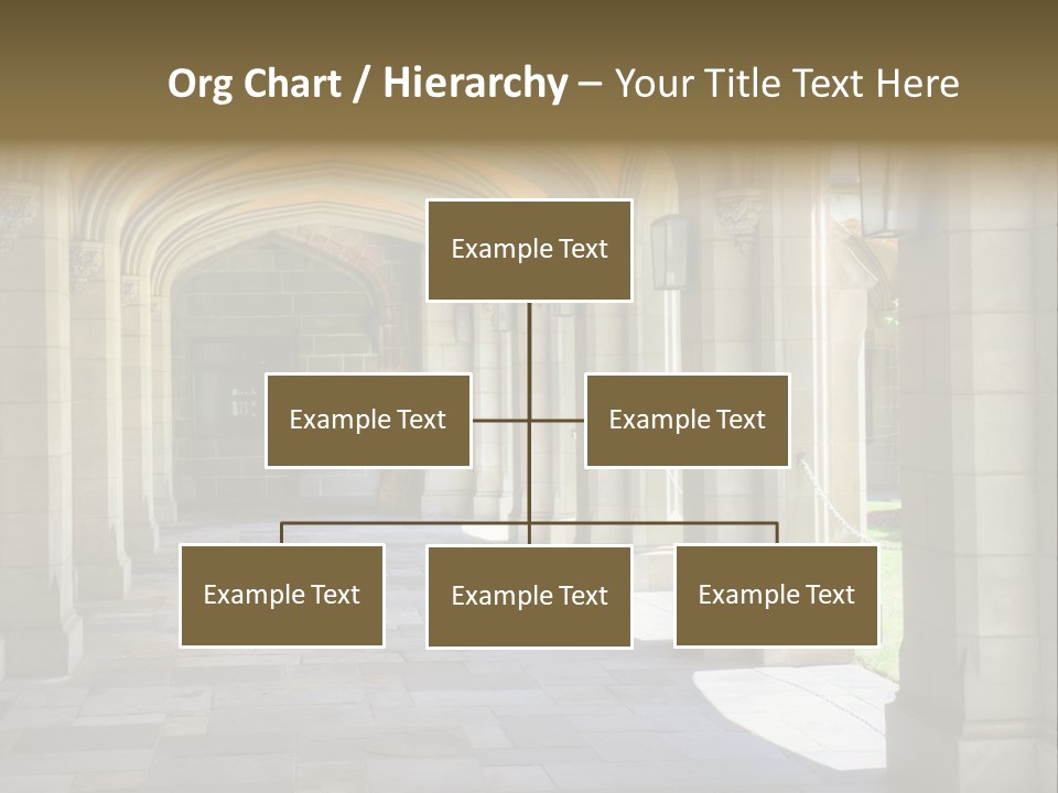 Universits Path Law PowerPoint Template