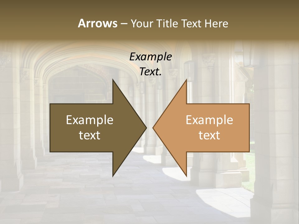 Universits Path Law PowerPoint Template