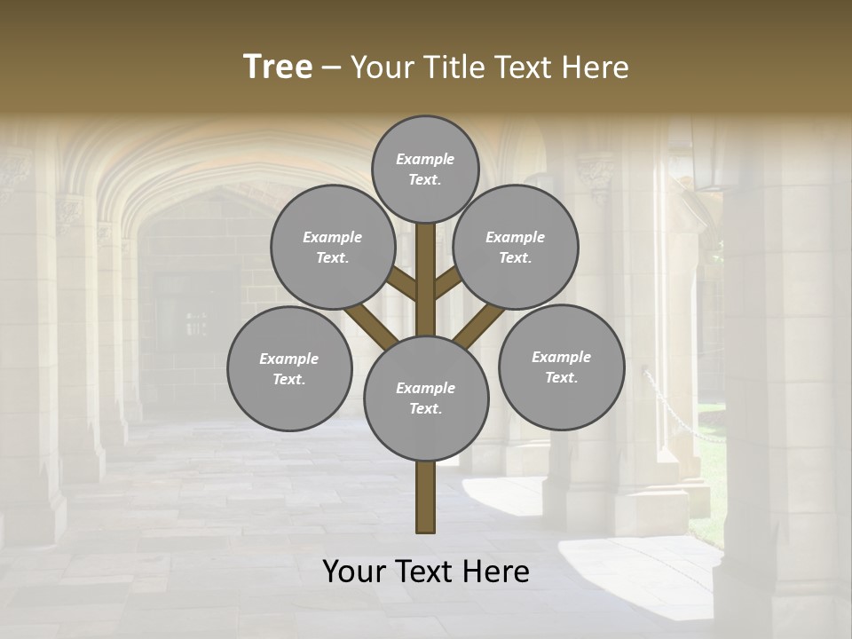 Universits Path Law PowerPoint Template