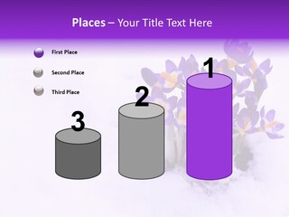 Easter Natural Purple PowerPoint Template