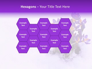 Easter Natural Purple PowerPoint Template