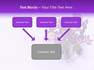 Easter Natural Purple PowerPoint Template