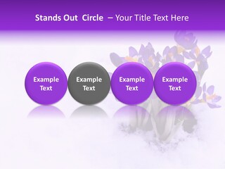 Easter Natural Purple PowerPoint Template