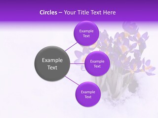 Easter Natural Purple PowerPoint Template